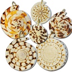 Wholesale Genuine Shell Pendants Natural shell pendants assorted sizes & shapes 1 1/2" - 2" (1 dozen minimum)