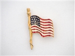 Americana Large Flag Pins