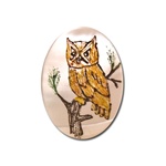 Vintage, Oval Mother of Pearl Scrimshaw, Owl