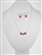 Set of 2-sided Flower Earrings and Silver Plated Necklace To Match, One Dozen.