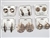Assorted Department Store Brand Gold Earrings (40 pairs lot)