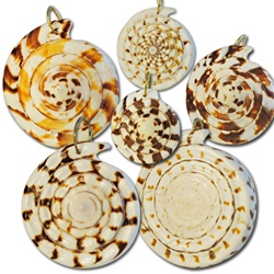 Wholesale Genuine Shell Pendants Natural shell pendants assorted sizes & shapes 1 1/2" - 2" (1 dozen minimum)