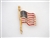 Americana Large Flag Pins
