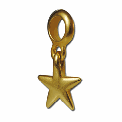 Gold Plated Star Charm