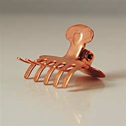Alligator Hair Clip