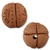 Clay Bead