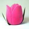 Ring / Earring Box - No Stem Tulip