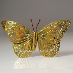 Brass Butterfly Finding