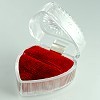 Lucite Pendant Earring Box with a red insert
