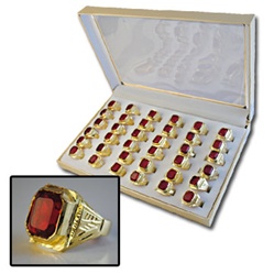 Faux Ruby Stone Rings in Display Case
