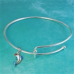Dolphin Charmed Bracelet