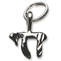 Sterling Silver Charm