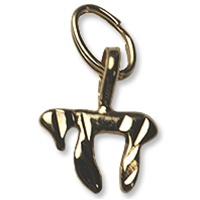 Sterling Silver Charm