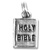 Sterling Silver Charm