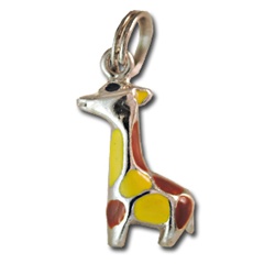Sterling Silver Charm